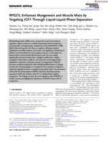 RPS27L Enhances Myogenesis and Muscle Mass by Targeting IGF1 Through Liquid‐Liquid Phase Separation