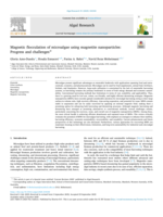 Magnetic flocculation of microalgae using magnetite nanoparticles: Progress and challenges