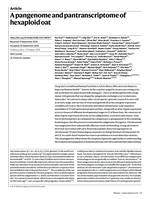 A pangenome and pantranscriptome of hexaploid oat