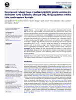 Decomposed cadaver tissue provides insight into genetic variation in a freshwater turtle (Chelodina oblonga Gray, 1841) population at Bibra Lake, south-western Australia