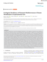 Ecological Resilience of Restored Mediterranean‐Climate Woodlands to Experimental Fire