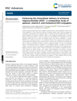Enhancing the intracellular delivery of antisense oligonucleotides (ASO) : a comparative study of aptamer, vitamin E, and cholesterol ASO conjugates