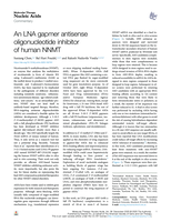 An LNA gapmer antisense oligonucleotide inhibitor of human NNMT