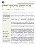 The Western Australian species of Callithamnion Lyngb. and Corynospora J.Agardh (Ceramiales, Rhodophyta) described by W. H. Harvey