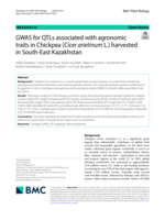 GWAS for QTLs associated with agronomic traits in Chickpea (Cicer arietinum L.) harvested in South-East Kazakhstan