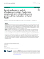 Genetic and virulence analysis of carbapenem-resistant Pseudomonas aeruginosa in farm animals in Shandong province, China: implications for human health