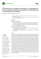 Toward Resilience in Broadacre Agriculture: A Methodological Review of Remote Sensing in Crop Productivity, Phenology, and Environmental Stress Detection